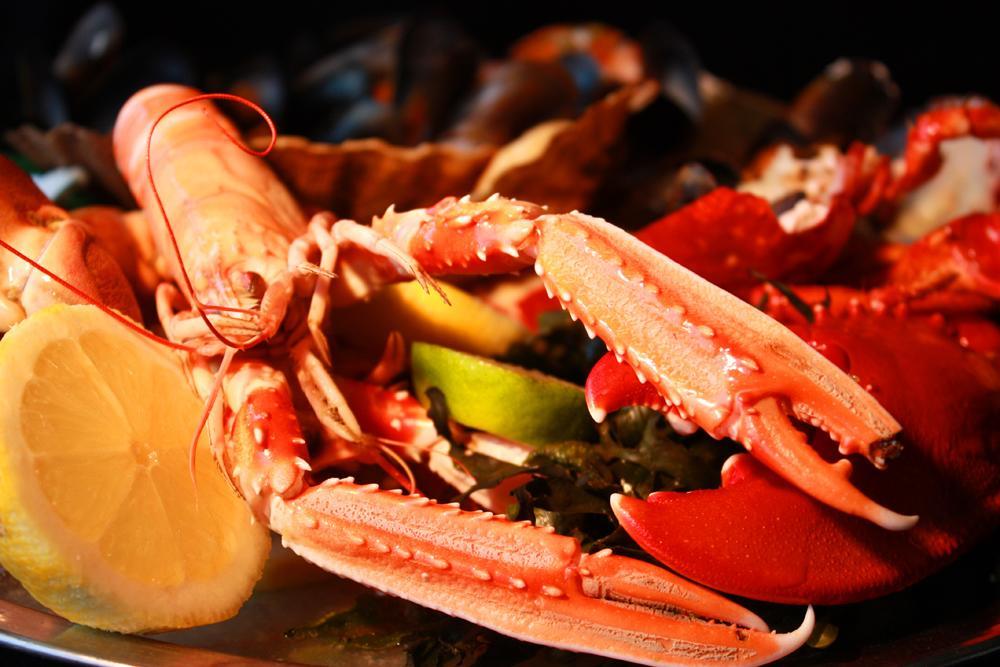 Oyster Inn Connel Oban Ngoại thất bức ảnh